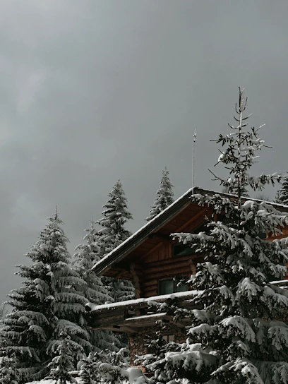 A cozy cabin nestled among tall pine trees under a twilight sky.