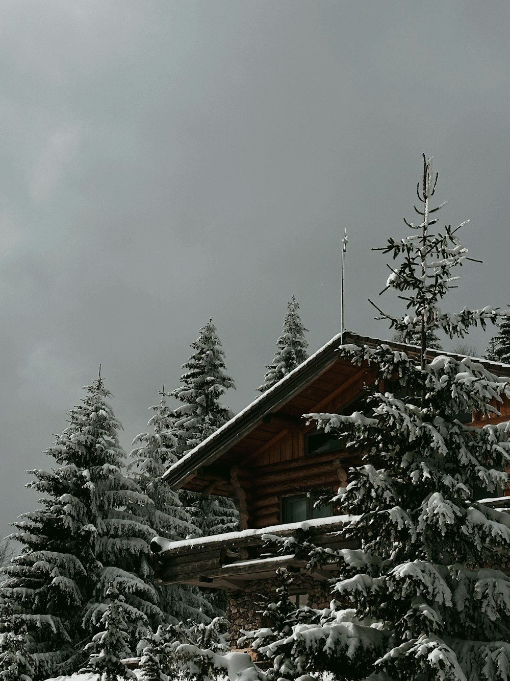 Una cabaña en el bosque con nieve en el suelo