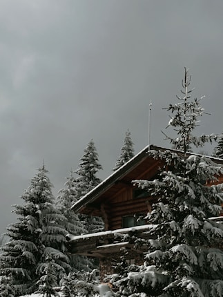 A cozy wooden cabin surrounded by tall, snow-covered pine trees under a cloudy sky, creating a serene winter scene.