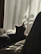 Gray tabby cat cozy in a soft hoodie, lounging by a window with sunlight streaming.