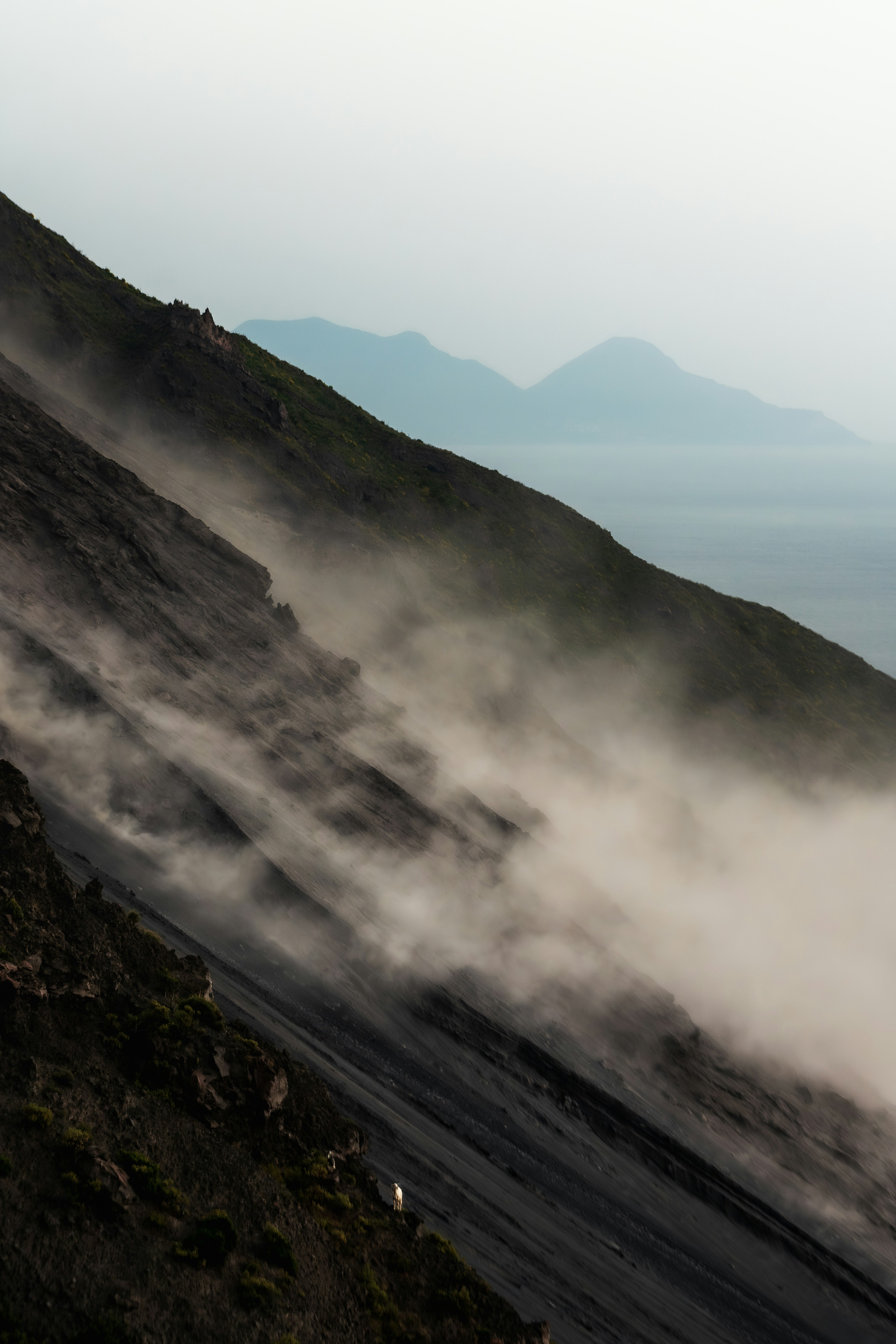 Photo by reeganfraser