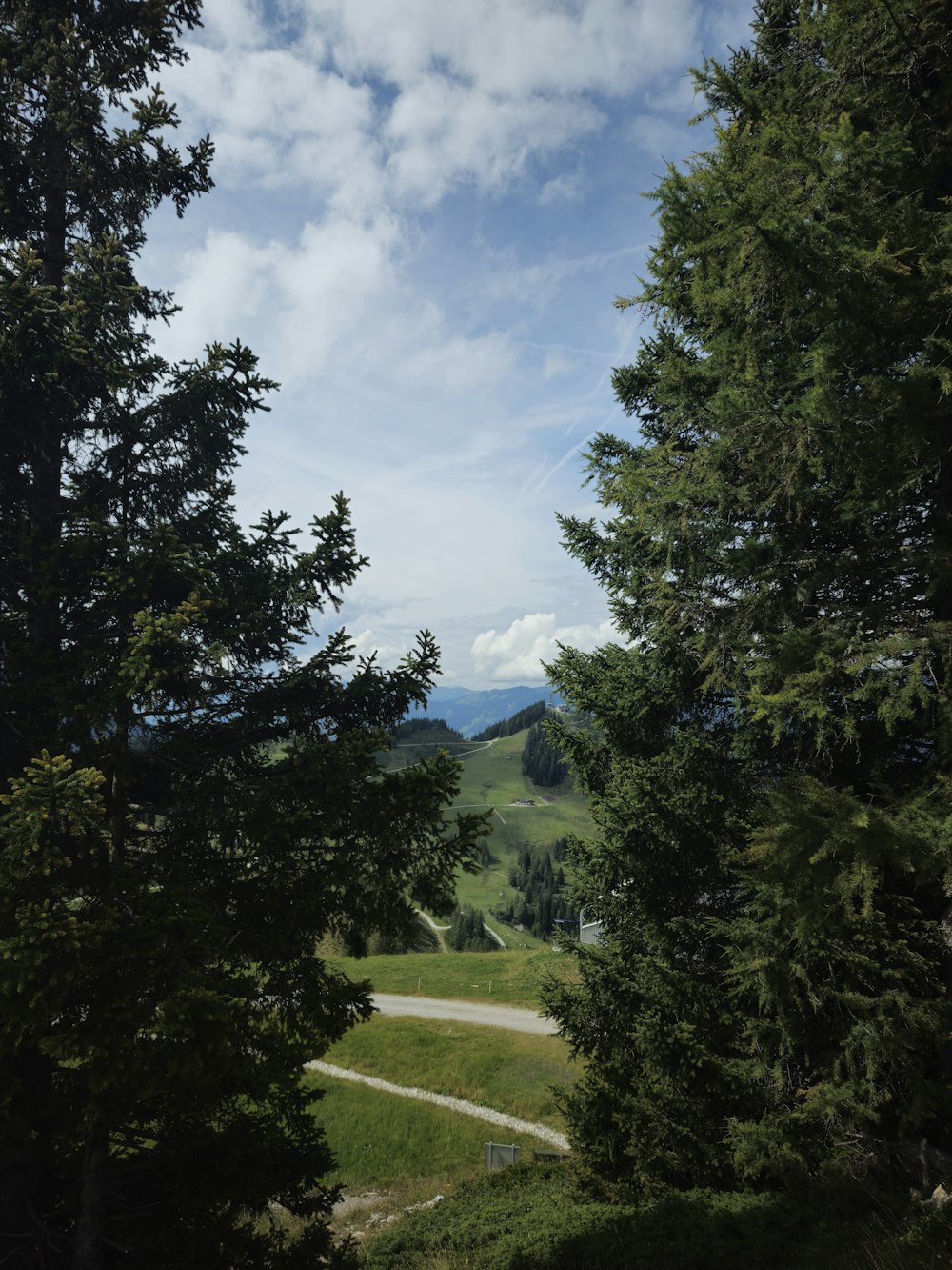 a dirt road surrounded by trees and a lush green hillside