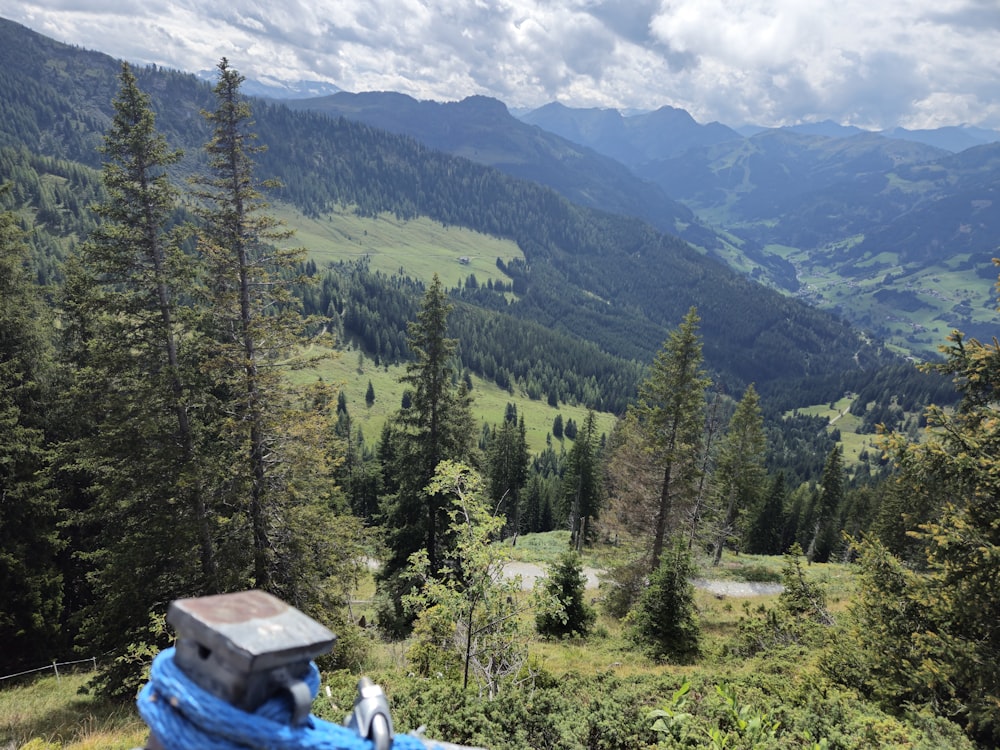 a view of a valley with mountains in the background