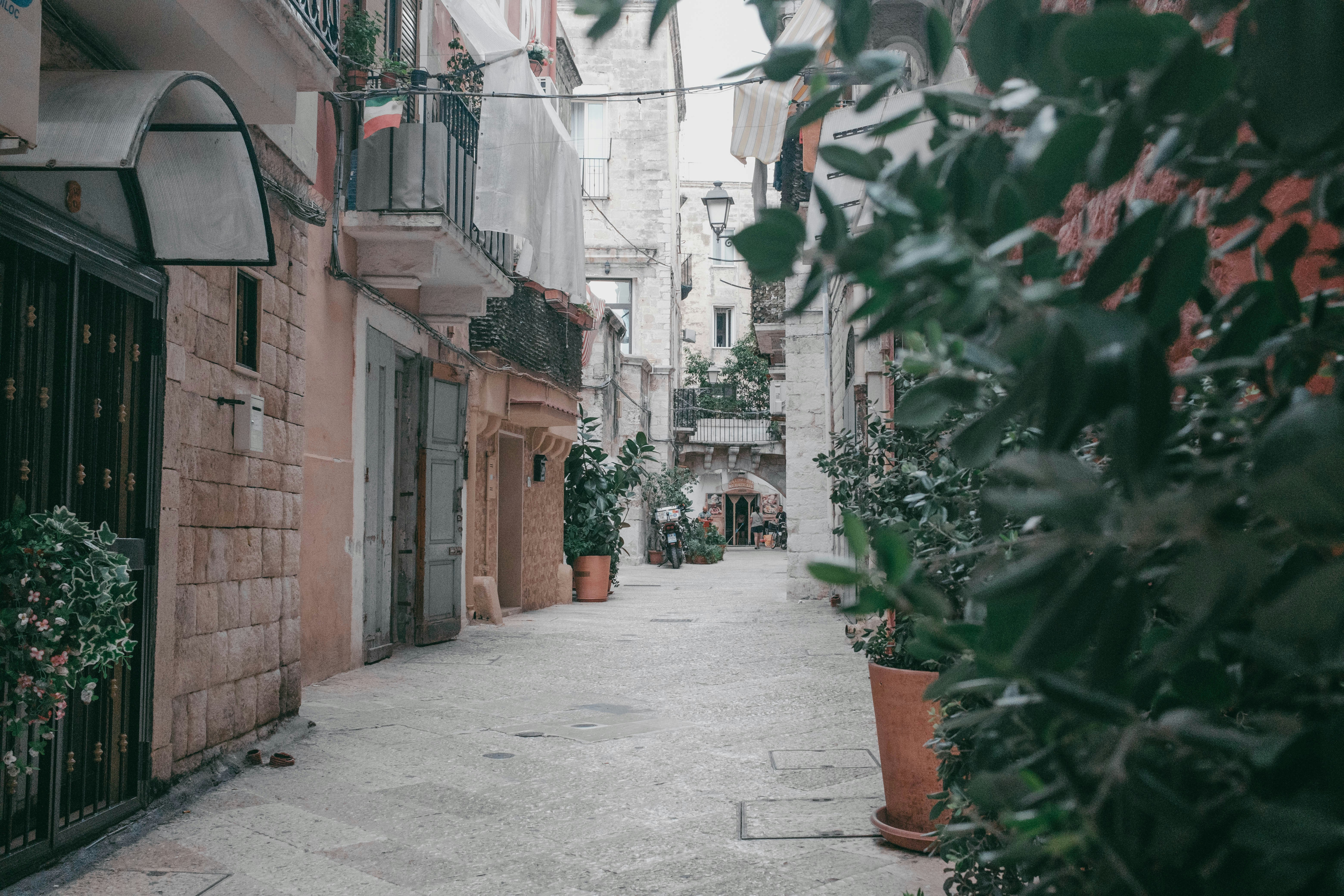 Photo by tomashirsch