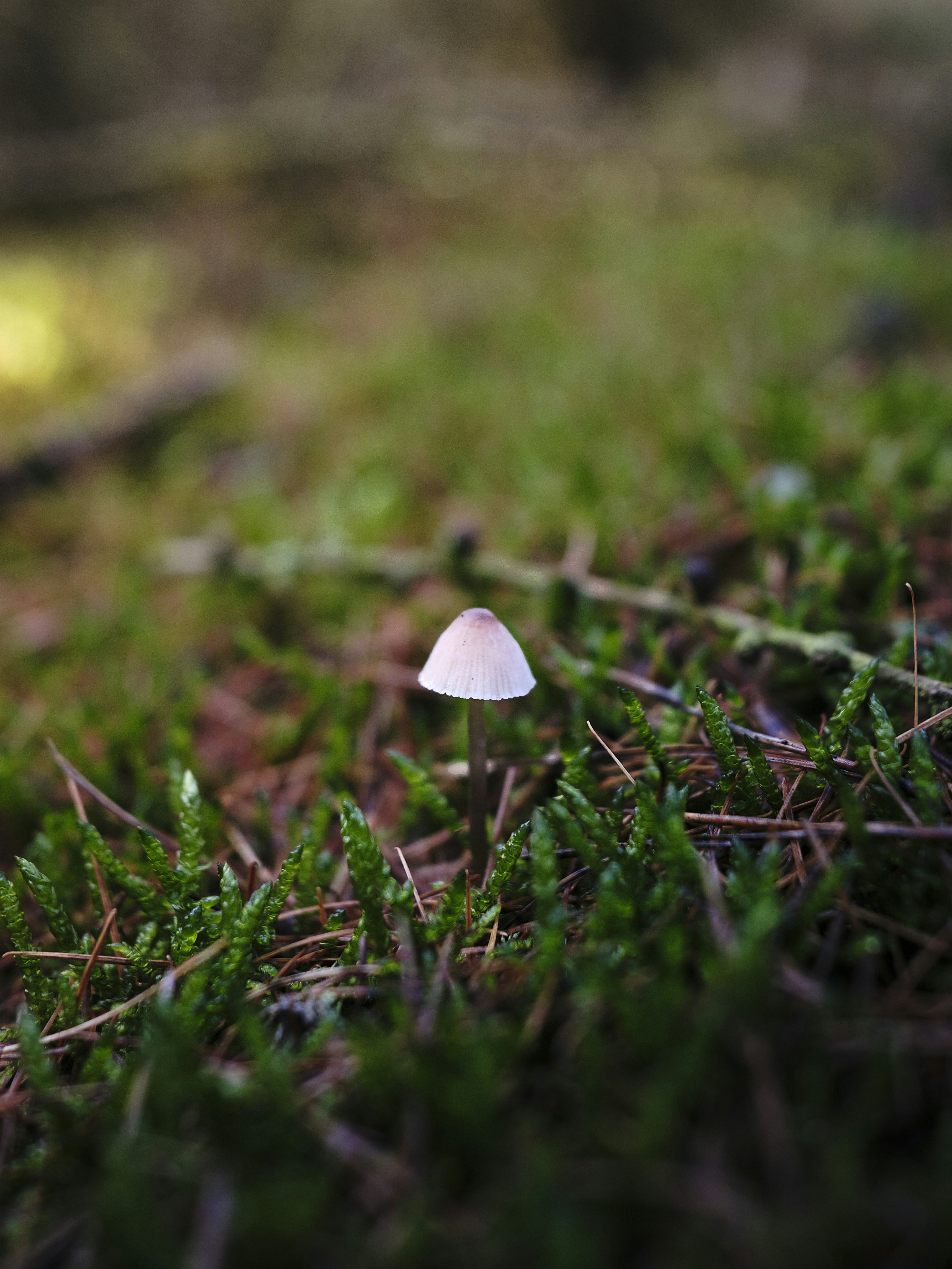 Photo by victor_vector