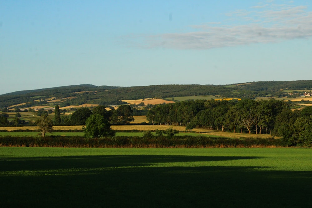 a grassy field with trees and hills in the background