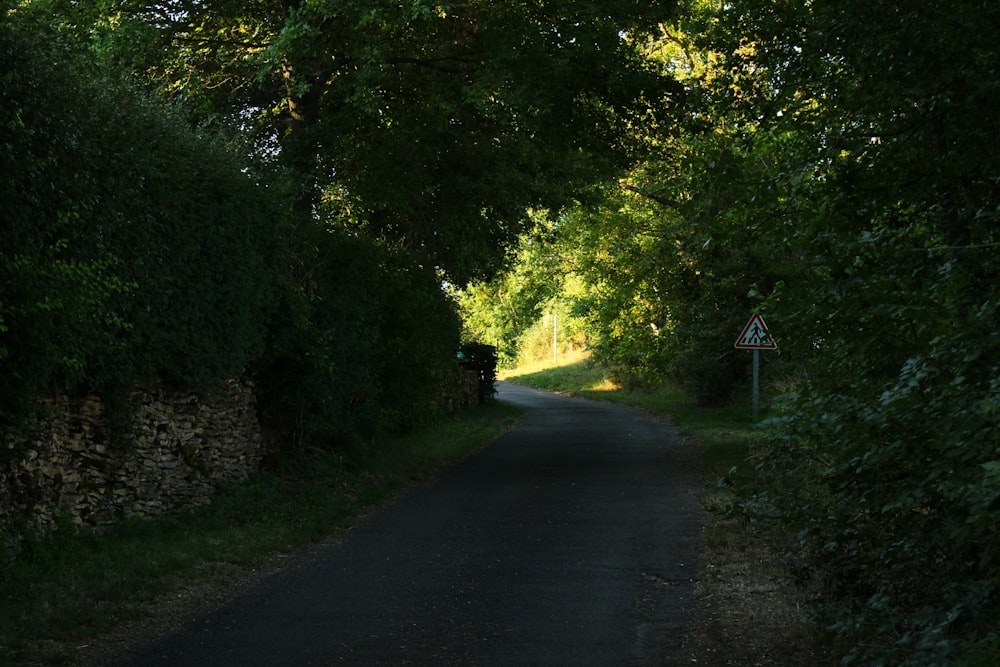 a narrow road surrounded by trees and bushes