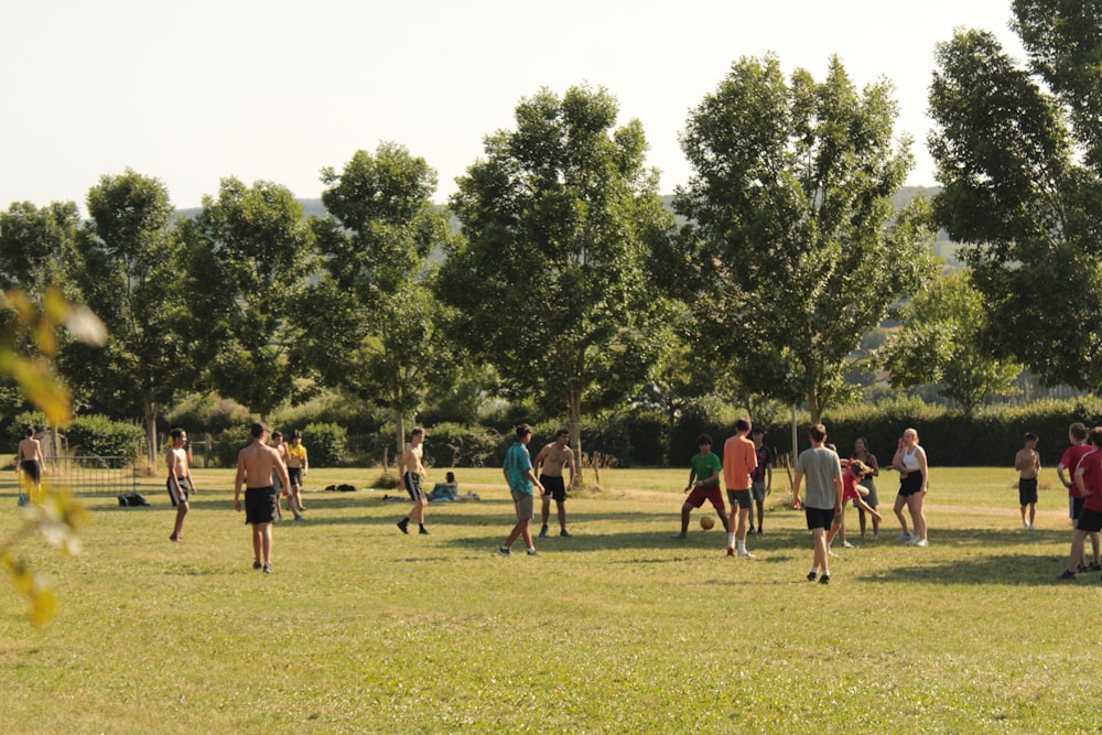 a group of people standing on top of a lush green field