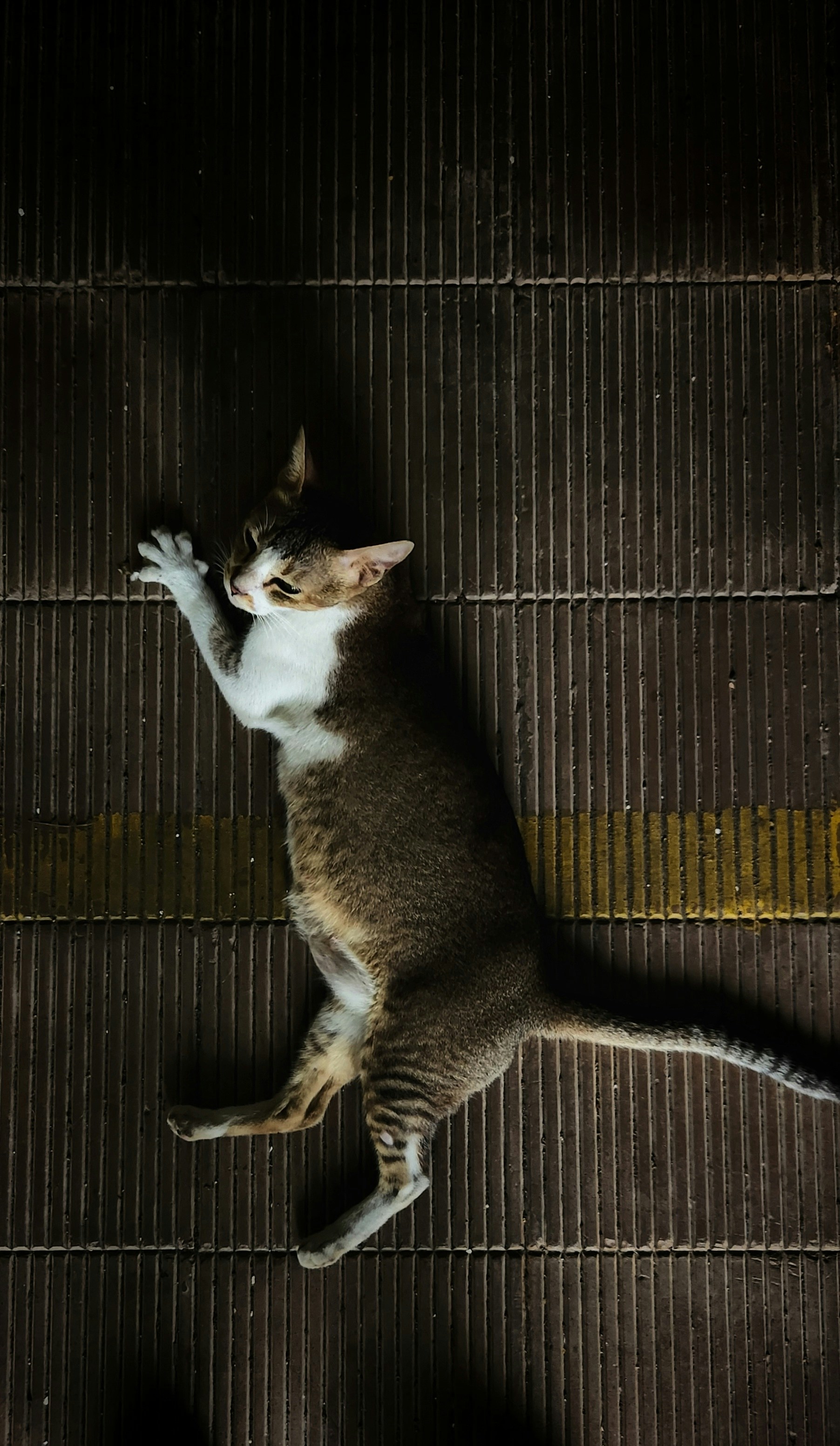 Photo by vaibhavsalvi