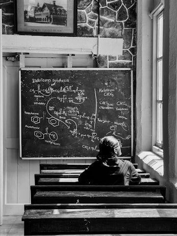 A person with their back to the camera is seated in a classroom, facing a blackboard filled with detailed chemical equations and diagrams. The room has wooden benches and desks, with large windows on one side allowing sunlight to illuminate the scene. There is a framed picture above the blackboard, and a stone-textured wall adds to the old-school ambiance.