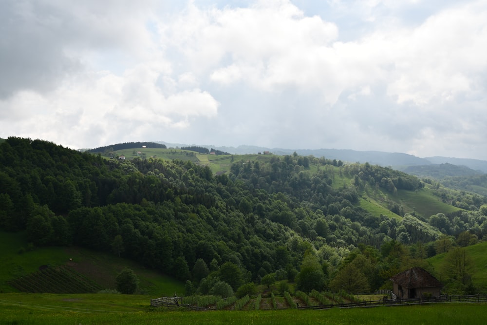 a lush green hillside covered in lots of trees