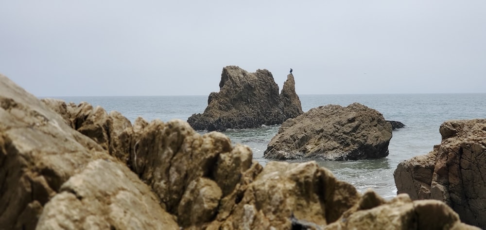a person standing on a rock near the ocean