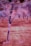 A dreamlike scene featuring trees with branches extending in various directions, set against a field of grass. The surreal coloration includes shades of pink, purple, and hints of orange, creating a visually striking and otherworldly appearance.