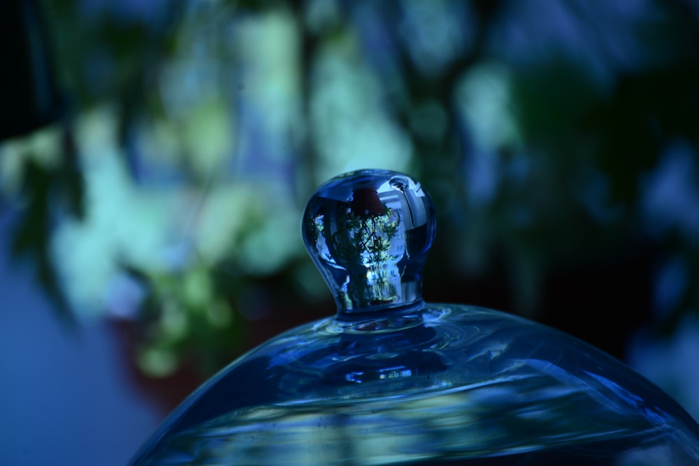a close up of a glass bottle with a plant in the background