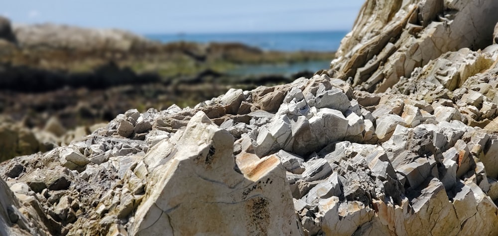 a bunch of rocks that are sitting on the ground