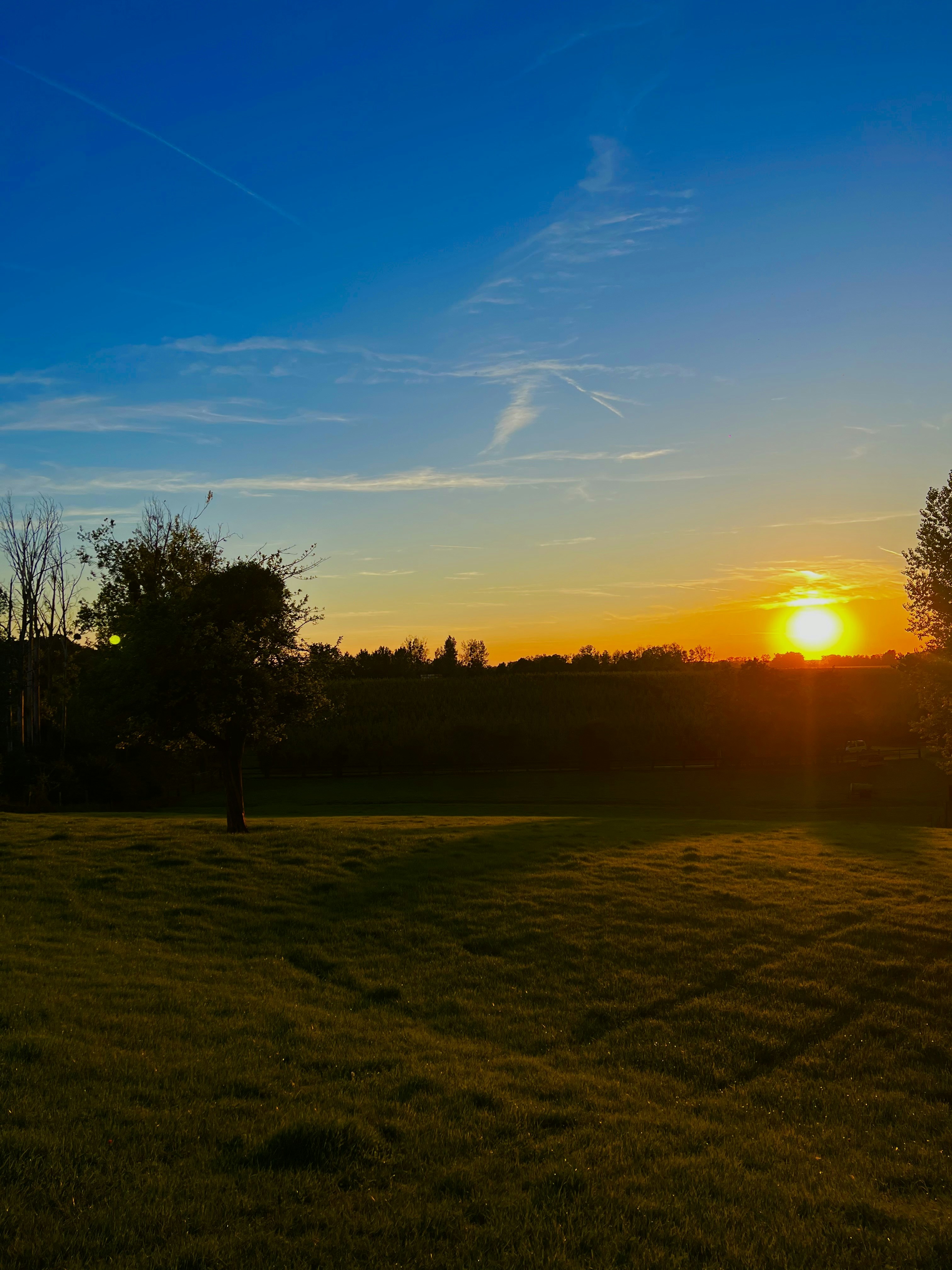 Photo by mathis_hansen