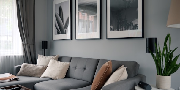 A modern living room features a stylish gray sectional sofa adorned with assorted cushions in neutral tones. Above the sofa, three large black-and-white framed photographs hang on the wall. Natural light filters in through a window covered with semi-transparent curtains. A green potted plant sits on a table on the right side, adding a touch of nature to the space.