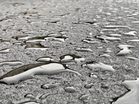 Close-up of a spotless driveway after pressure cleaning, with water droplets glistening on the surface.