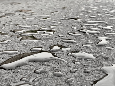Clean sidewalk with water droplets reflecting sunlight after washing.
