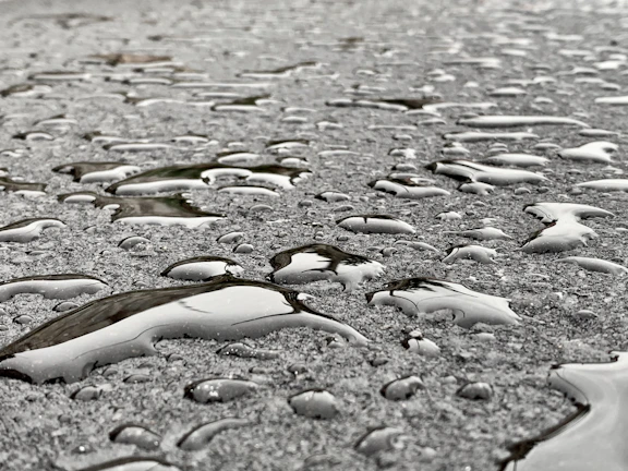 Close-up of a dark driveway gleaming after a thorough pressure wash, with light blue reflections on the wet surface.