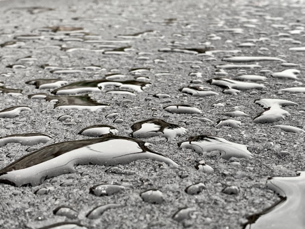 Close-up of water droplets on a clean driveway surface, showcasing the long-lasting finish from steamleywash.