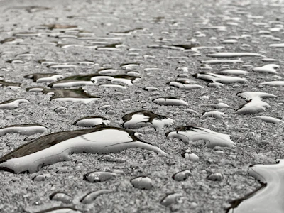 A close-up of a clean driveway with water droplets sparkling in the sunlight after a pressure wash.