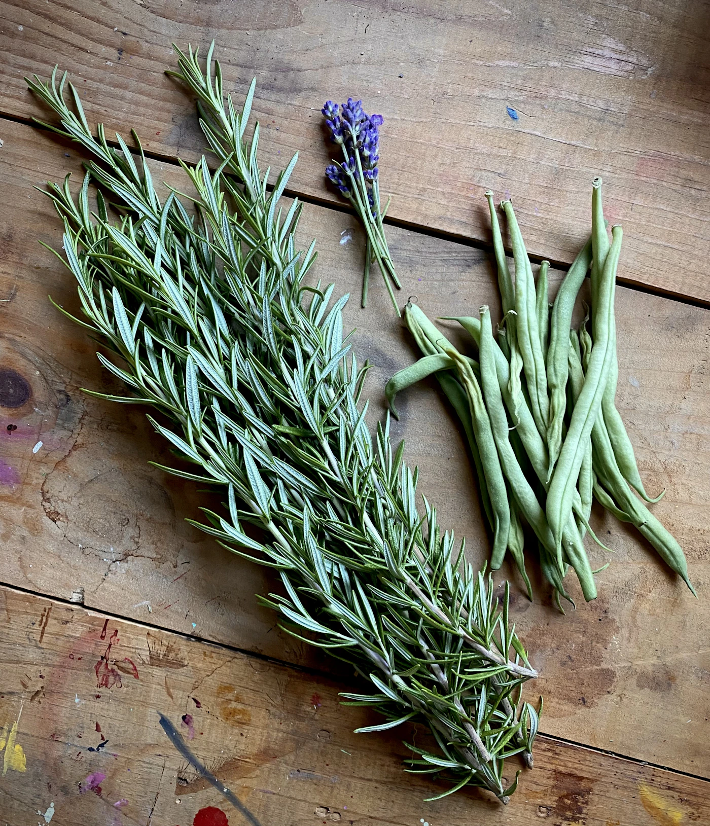 Fresh rosemary and green beans on a warm wooden board