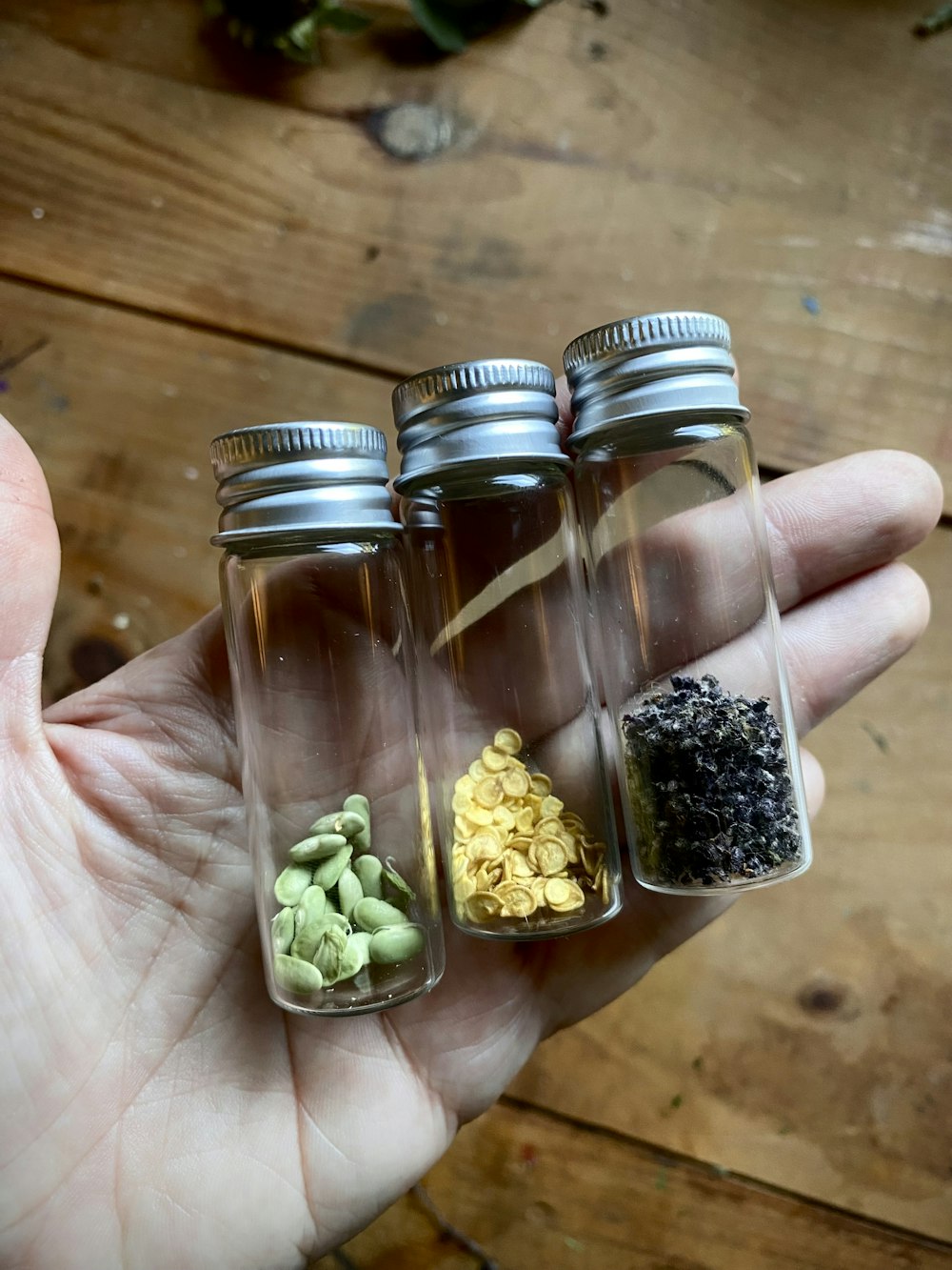 a person holding three jars filled with different types of herbs