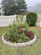 A garden bed featuring rich mulch, decorative rocks, and clean borders.