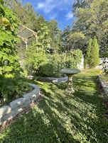 Lush green garden with a raised stone planter bed, filled with tall plants and sunflowers. A small stone birdbath stands on the grass. Leafy greens and various plants are surrounded by a backdrop of trees and a clear blue sky.