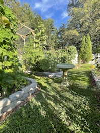 Lush green garden with a raised stone planter bed, filled with tall plants and sunflowers. A small stone birdbath stands on the grass. Leafy greens and various plants are surrounded by a backdrop of trees and a clear blue sky.