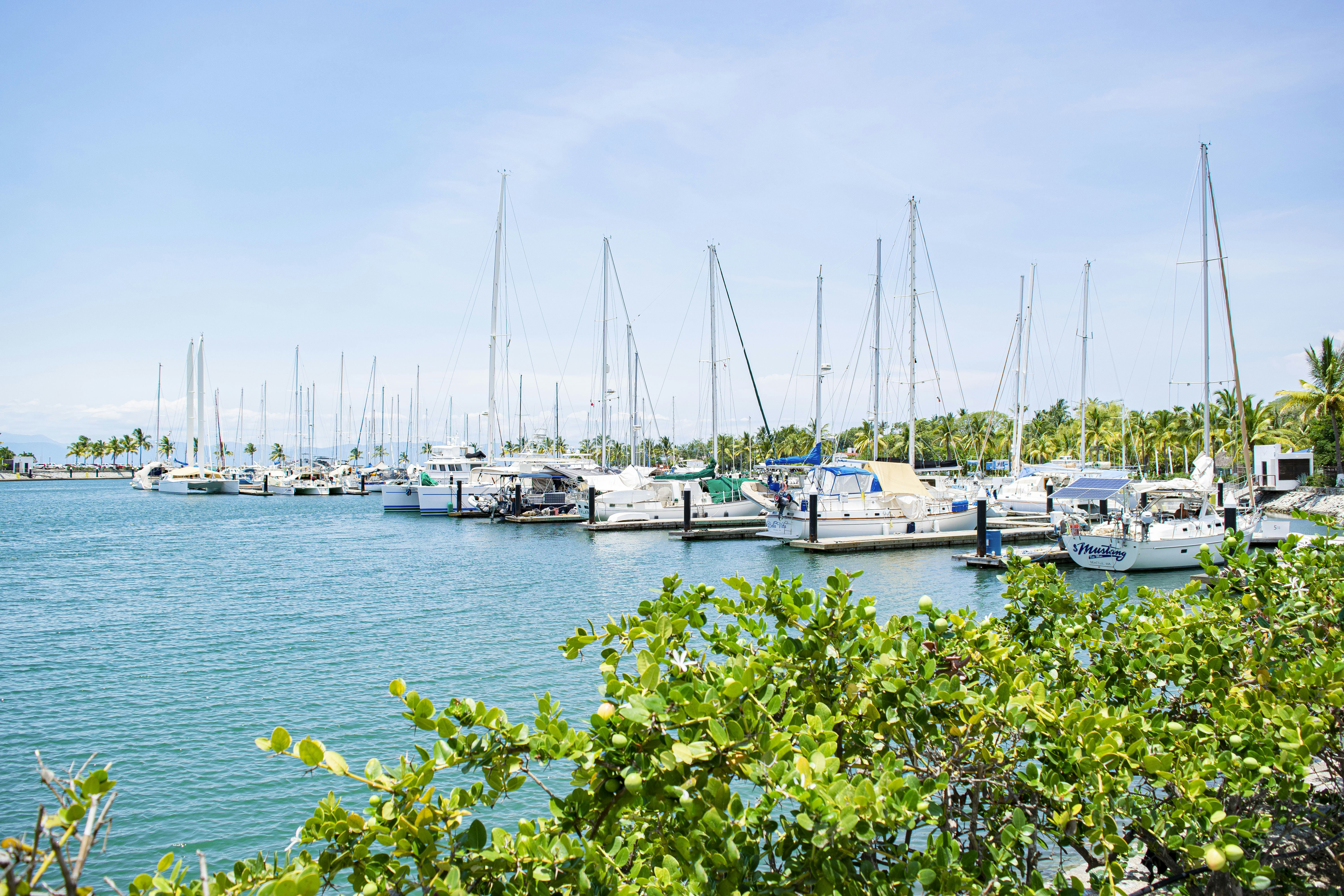 Photo by vivian_mora