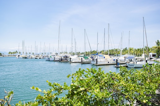 a bunch of boats that are in the water