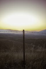 A long stretch of wire mesh farm fencing in a rural setting.
