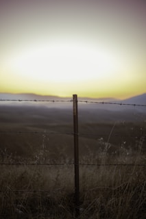 A barbed wire fence stretches across a field under an expansive sky with a bright horizon. The landscape includes dry grasses and a distant view of hills, suggesting open and rural surroundings.