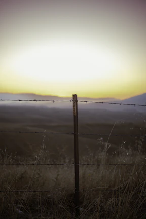 Durable barbed wire fence protecting an open land area under bright daylight.
