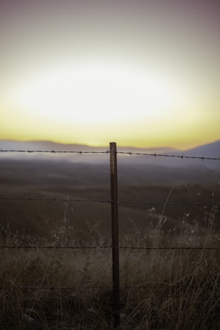 A barbed wire fence stretches across a field under an expansive sky with a bright horizon. The landscape includes dry grasses and a distant view of hills, suggesting open and rural surroundings.