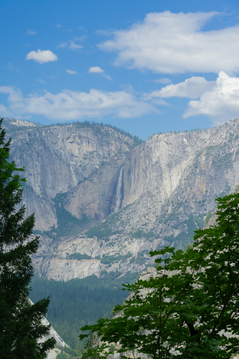 a view of a mountain range with trees in the foreground