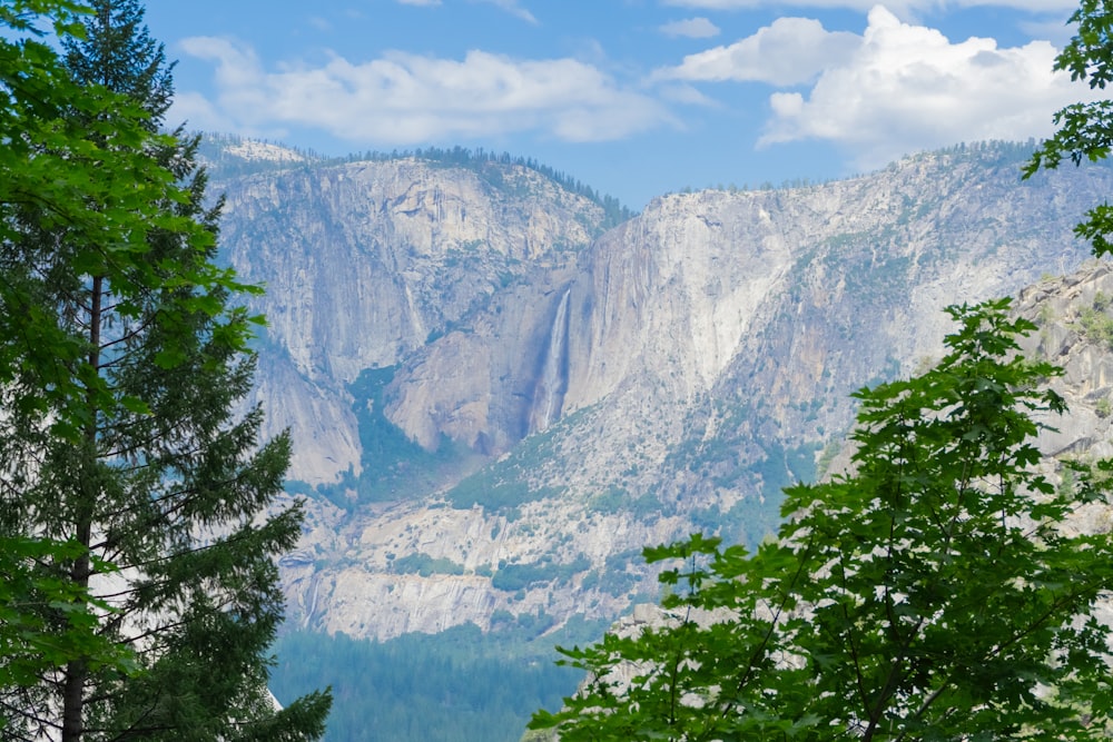 a scenic view of a mountain range with trees in the foreground