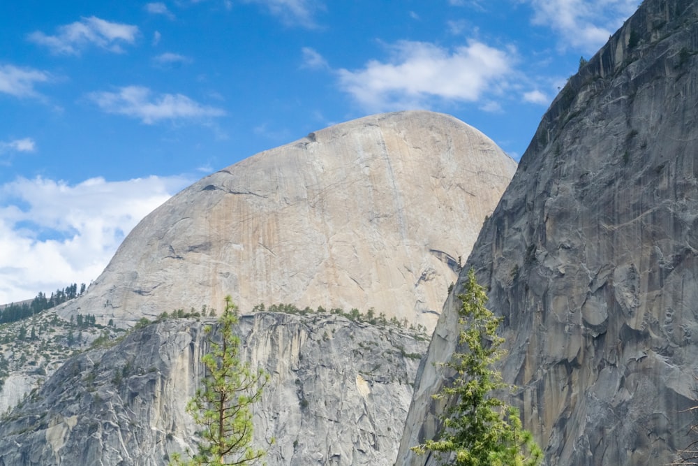 a view of a mountain with trees in the foreground