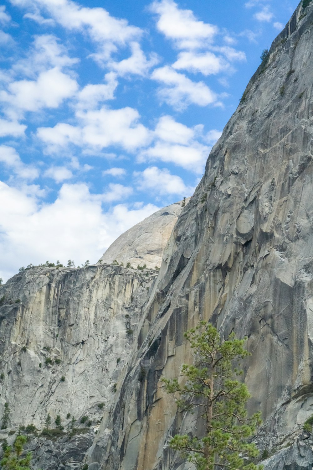 a large rock face with a tree in the foreground