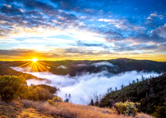 A vibrant sunrise over the lush coffee plantations of Colombia's Eje Cafetero, with mist rolling over green hills.
