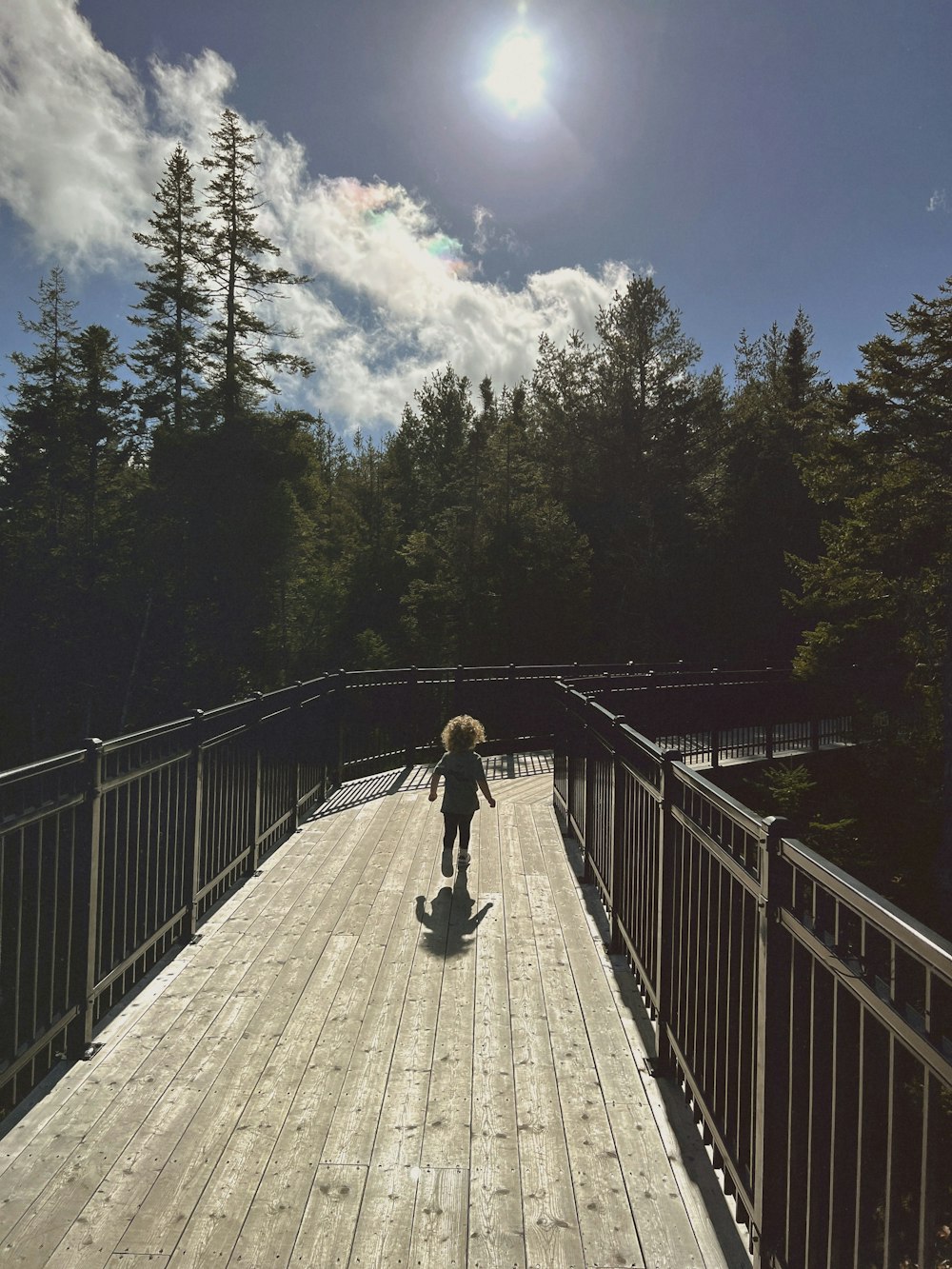 a person walking across a bridge over a forest