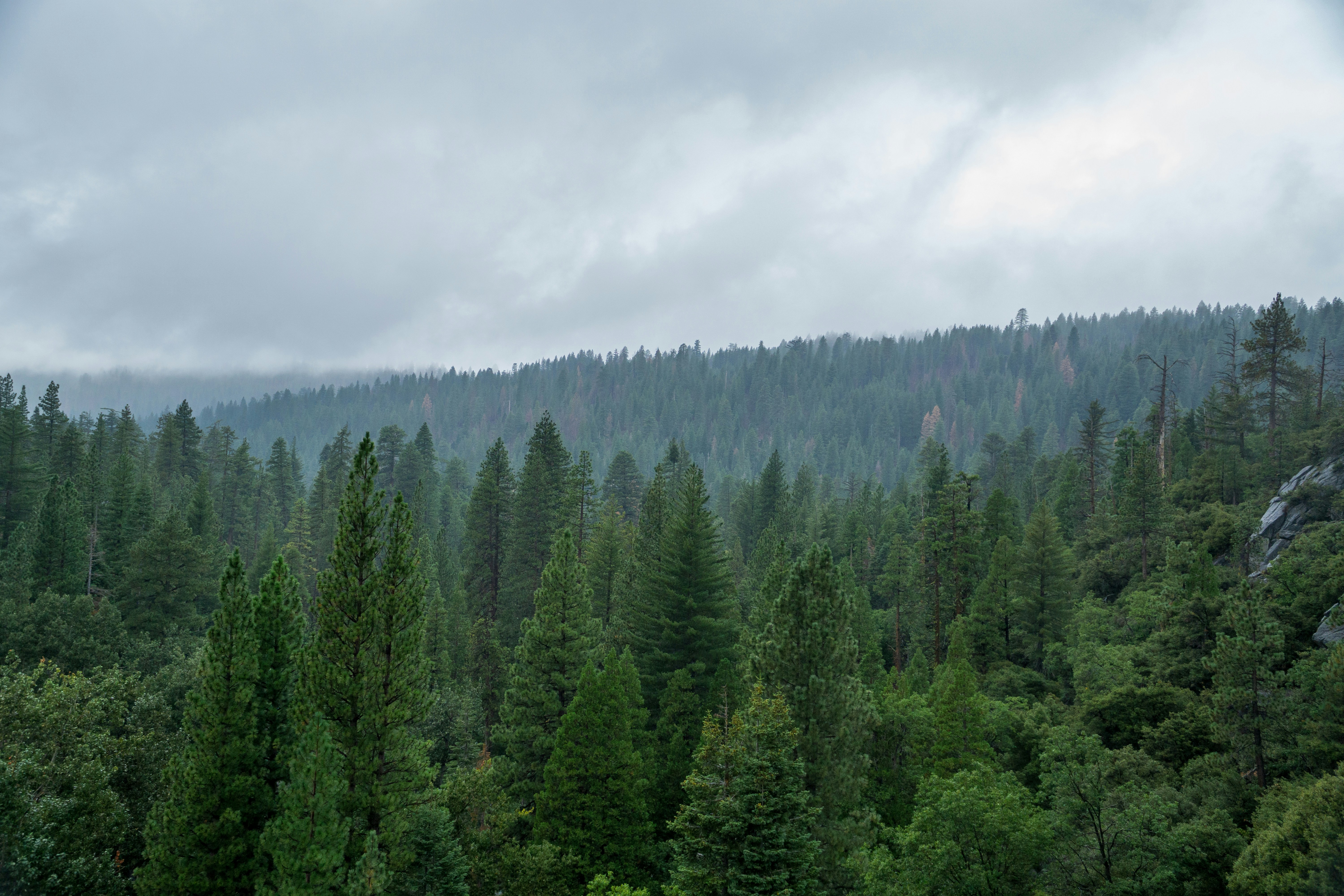 Photo by spencer_demera