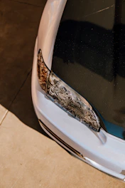 Close-up shot of a carbon fiber car hood with sleek metallic silver accents under soft lighting.