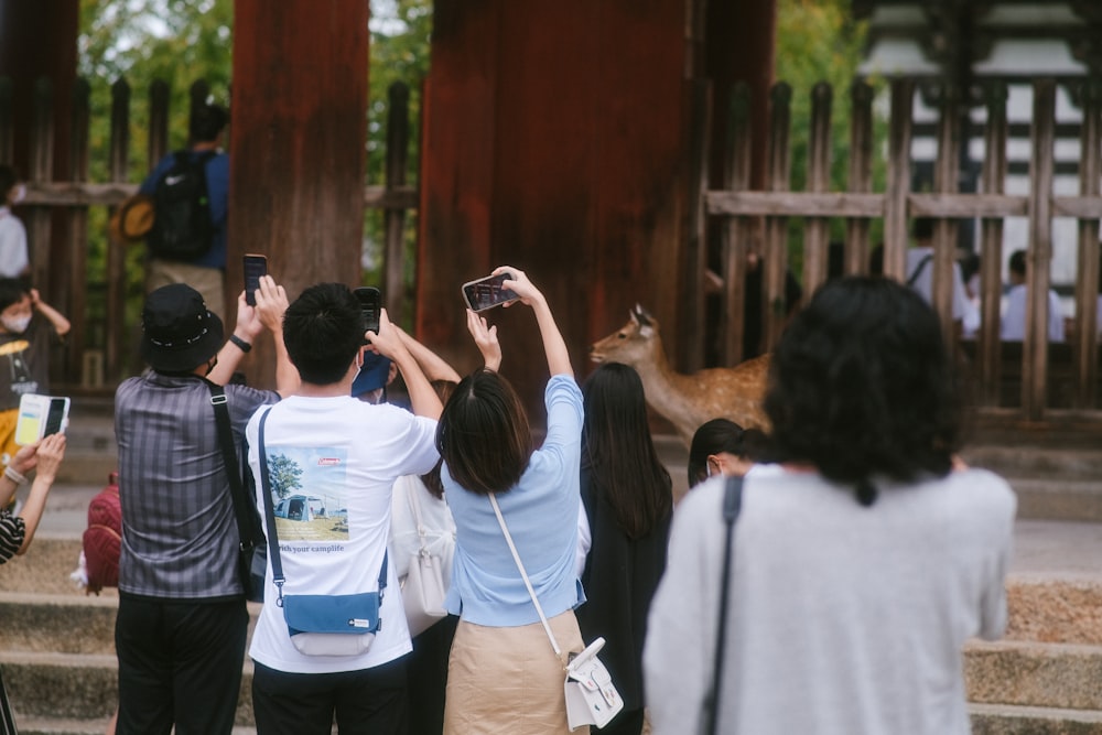 a group of people taking pictures of a deer