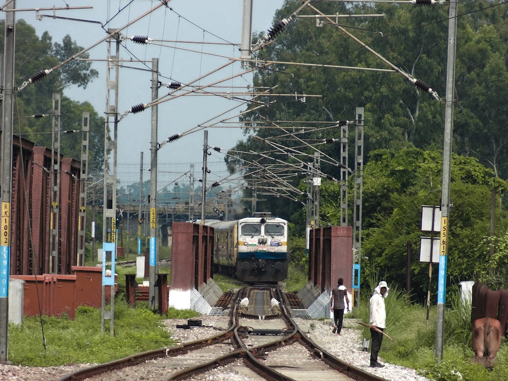 a train traveling down train tracks next to a forest