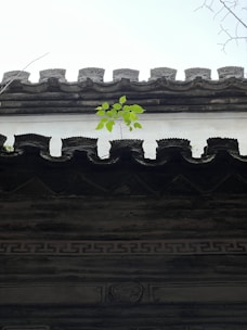 A traditional Chinese roof with intricate design features a single bright green plant growing through the tiles. The roof is adorned with ornate patterns and is set against a pale sky.