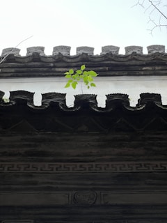 A traditional Chinese roof with intricate design features a single bright green plant growing through the tiles. The roof is adorned with ornate patterns and is set against a pale sky.