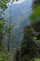 A scenic view of a traveler exploring a lush green landscape with mountains in the background.